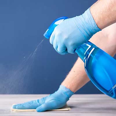guaranteed rodent removal, guaranteed termite control, guaranteed ant removal, guaranteed spider removal, guaranteed mosquito control, guaranteed wasp removal, guaranteed flea control